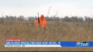 DNR to host special CWD deer hunt