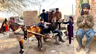 DO NOT GIVE YOUR PET HOUSE TO YOUR ENEMIES 🙏