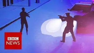 Do people get shot because some cops panic? BBC News