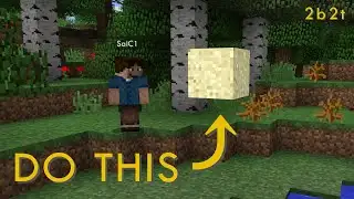 Do This Before 2b2t Updates to 1.16