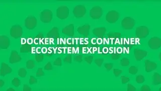 Docker Incites Container Ecosystem Explosion  |  Tech Radar Nov 