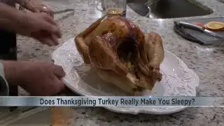 Does Thanksgiving turkey really make you sleepy?
