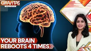 Does the Brain Become Dull With Age? New Study Shows How the Brain Gradually Changes | GRAVITAS