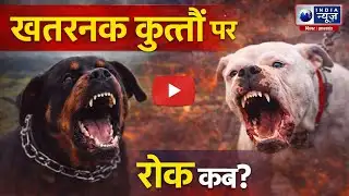 Dog Attack Breaking: खतरनाक ब्रीड पर बैन कब? कब थमेंगे हमले? India News Bihar