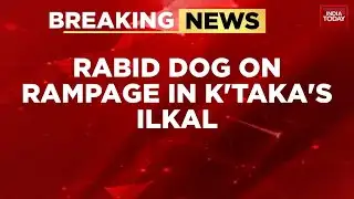 Dog Attack in Ilkal, Karnataka: Over 10 Injured Including Children and Elderly | India Today