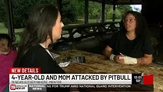 Dog attacks 4-year-old Mentor girl and her mother