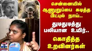 DOG BITE || சென்னையில் ஆணுறுப்பை கடித்த பிட்புல் நாய்.. துடிதுடித்து பலியான உயிர்..