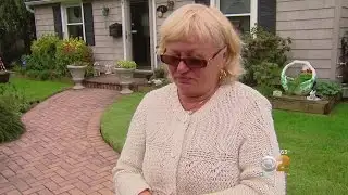 Dog Dies In LI Hit-And-Run