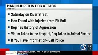 Dog owner hospitalized after pit bull attack in Windsor