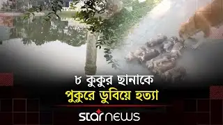 বস্তাবন্দি করে পুকুরে ফেলে ৮ কুকুর ছানা হ/ত্যা, জানা গেল কারণ | Dog | Pabna | Star News