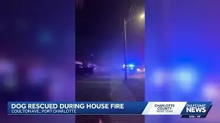 Dog rescued from Port Charlotte house fire Tuesday night