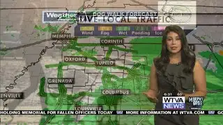 Dog Walk Forecast for May 13 - Darcy