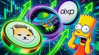 DOGELON MARS + SOLAXY + DEXRP: Simpsons-Style Pump Incoming?!
