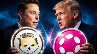 Dogelon Mars vs Polkadot: Which One Will 100x First in 2026?