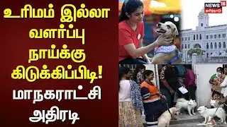Dogs | உரிமம் இல்லா வளர்ப்பு நாய்க்கு கிடுக்கிப்பிடி! - மாநகராட்சி அதிரடி | Chennai | License