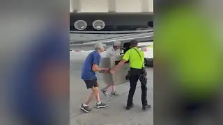 Dogs arrive in Wisconsin from shelter in Texas for adoption