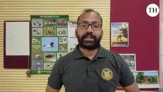 Dogs vs wolves  A Shift in Maharashtra