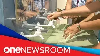 DOH pushing for handwashing vs. diseases