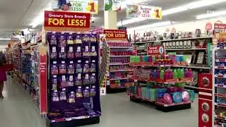 Dollar Tree forecasts weak profit on tariff uncertainty | REUTERS