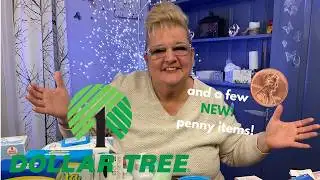 Dollar Tree Haul + New PENNY finds | Feb 4, 2026