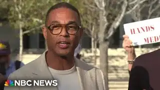 Don Lemon speaks out after being released from custody
