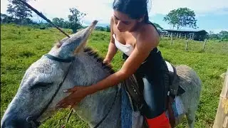 Donkey riding new video please subscribe