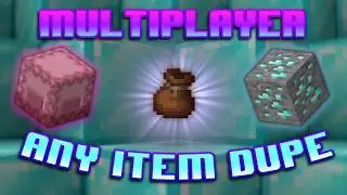 Donut SMP Duplication Exploit — Step-by-Step Breakdown (Working Method)