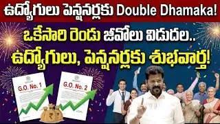 Double Dhamaka! ఒకేసారి రెండు జీవోలు విడుదల.. ఉద్యోగులు, పెన్షనర్లకు శుభవార్త! ||Telangana Employees