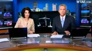 Downed power line kills several cows