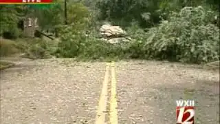 Downed Tree Knocks Out Power Line