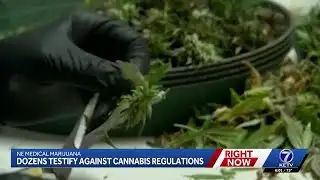 Dozens testify against medical cannabis regulations