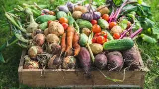 DPH News Update | August 9, 2025