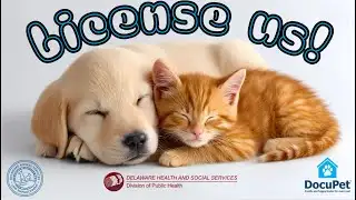 DPH News Update | Free Pet Licensing | December 4, 2025