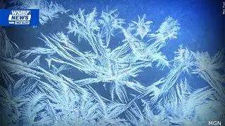 DPH: Several winter-storm related deaths confirmed in SC