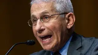 Dr Anthony Fauci used ‘strawman’ argument in feud with Rand Paul