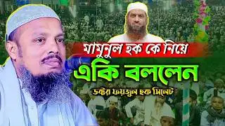মামুনুল হককে নিয়ে ড. ফয়জুল হক কী বললেন? || Dr Faizul Haque New Waz