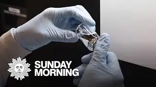 Dr. Jon LaPook: No time to abandon science