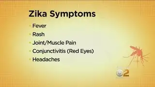 Dr. Max Gomez: Zika Chat