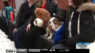 Drake’s ‘Griff-Hog’ predicts sunny weather for 2026 relays