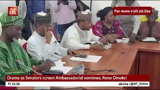 Drama as Senators screen Ambassadorial nominee, Reno Omokri