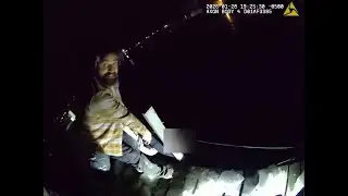 Dramatic video shows officers rescuing man from icy waters