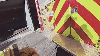 Dramatic video shows Orange County firefighters rescue cats from burning building