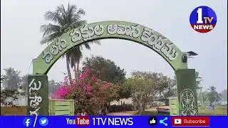 Drawing competitions about the importance of wetlands