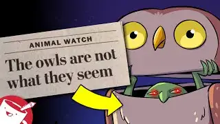 Drawing the Weirdest Local News Headlines