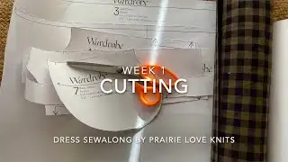 Dress Sewalong Week 1: Prepping and Cutting Fabric