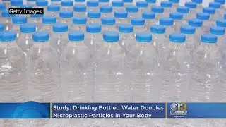 Drinking Bottled Water Doubles The Microplastic Particles In Your Body, Study Says