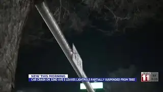 Driver cited after launching light pole into tree, fleeing scene