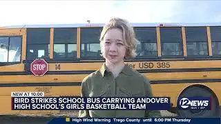 Driver credited for poise, guiding bus to safety after bird crashes into windshield