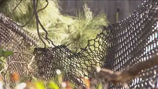 Driver dies following solo rollover crash in Escondido