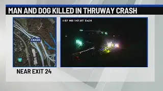 Driver, dog killed in Albany Thruway crash